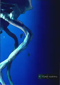 (Ware, Yasen ni Totsunyuu su! 2) [Hoshino Seikaten (Hoshino Ichiyoru)] Echo (Kantai Collection -KanColle-)