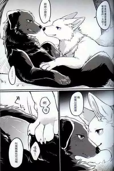 Hakoniwa Jealousy | 箱庭之妒