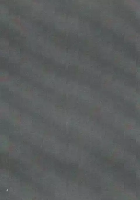 Shinkai Zecchou Sprechchor