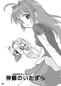 CompositionMIX 2006-2007