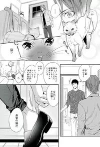 (C89) [SAKEPAPA (Ooki)] Wagaya no Nyanko-sama (Free!)
