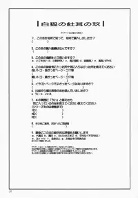 (C87) [Tanmatsu Ijou (BadHand)] Byakko no Mori Sono Kyuu [Chinese] [好野柯個人漢化]