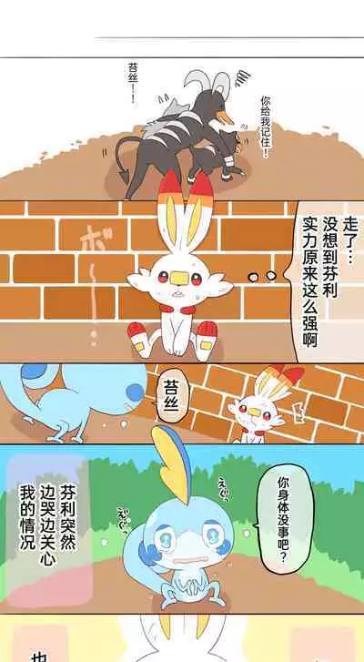 |宝可梦的故事（呜鸟木个人汉化组）