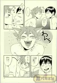 (C88) [Parade (Isoya Kashi)] Ore no Kareshi ga Inu ni Toritsukaremashite. (Haikyuu!!)