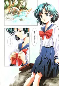 (C69) [Hen Rei Kai (Kawarajima Koh)] AmiHota!! Side:D (Sailor Moon)
