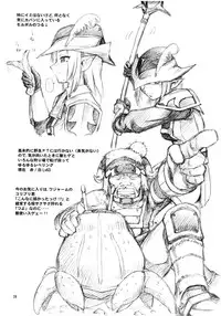 (C74) [Jack-O'-lantern (EBIFLY, Neriwasabi)] WAY OF THE DRAGON (Final Fantasy XI)