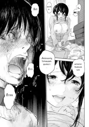 Netoraserare Vol.1-3