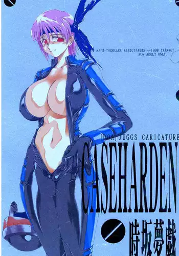 (C56) [Timest (Mugi Tokisaka)] Caseharden (Dead or Alive)