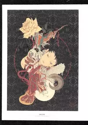 Takato Yamamoto - Rib of a Hermaphrodite