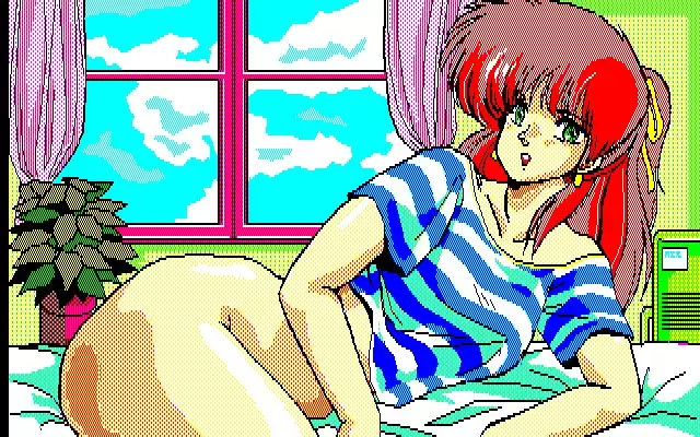 Aniparo Menyou CG Data Shuu Disk Noah v2v3