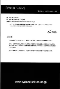 (C72) [Cyclone (Izumi Kazuya)] Migi no Ga~nin (Dead or Alive) [English]