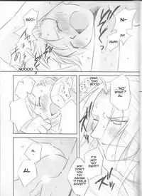 [Nenone-ya (Nenone Miya)] Taion (Fullmetal Alchemist) [English] [EHCOVE]