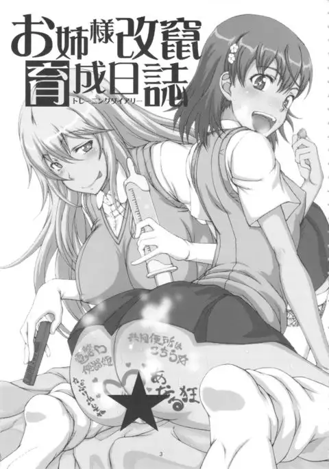 Oneesama Kaizan Training Diary