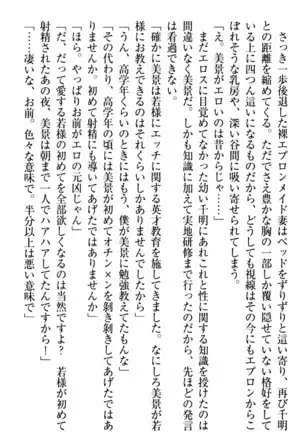 年上メイドの新婚日記