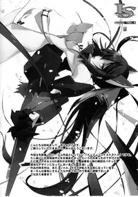 (SC50) [RYU-SEKI-DO (Nagare Hyo-go)] LS Lovers Striker (IS <Infinite Stratos>)