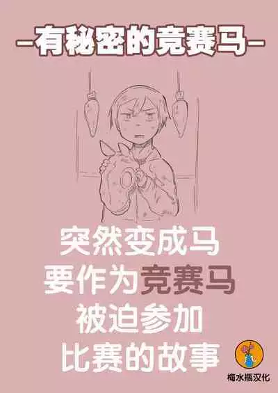 有秘密的竞赛马