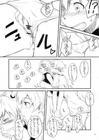 (C80) [AERODOG (inu)] Chinchin Kamokamo (THE IDOLM@STER Dearly Stars)