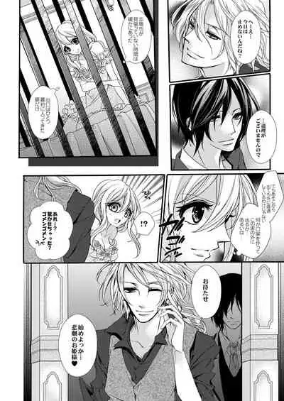 蜜獄マリッジ～ドS悪魔とバージン花嫁～