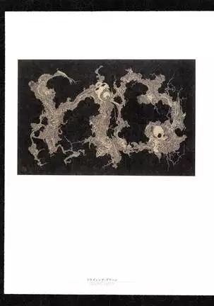 Takato Yamamoto - Rib of a Hermaphrodite