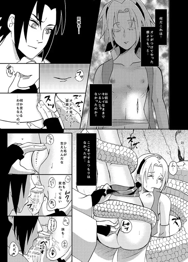 Sleeping Cherry Blossom