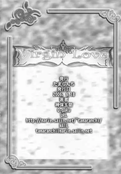 Virgin Love