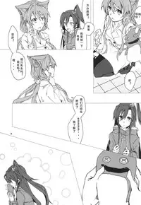 (C85) [HB (Futoo)] Wunsch (Senki Zesshou Symphogear) [Chinese] [假良假影个人汉化]