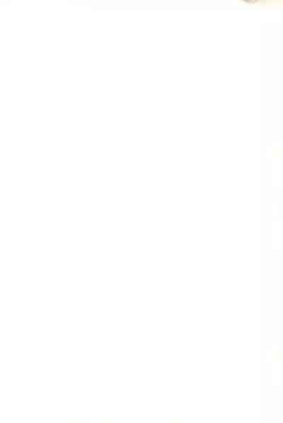 (C53) [Mutekei FIre (Yuuichi)] ND-special Volume 1 (Various)