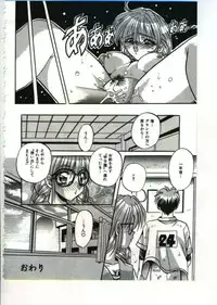 [Appleton] Fairy Paradise