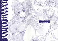 (C74) [Studio N.BALL (Haritama Hiroki)] SURPRISE CULTURE (Macross Frontier)