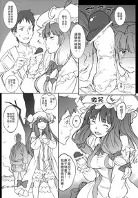 (C87) [Egao de Bouryoku (mogg)] Kyoushoujo - Lunatic Girl (Touhou Project) [Chinese] [CE家族社]