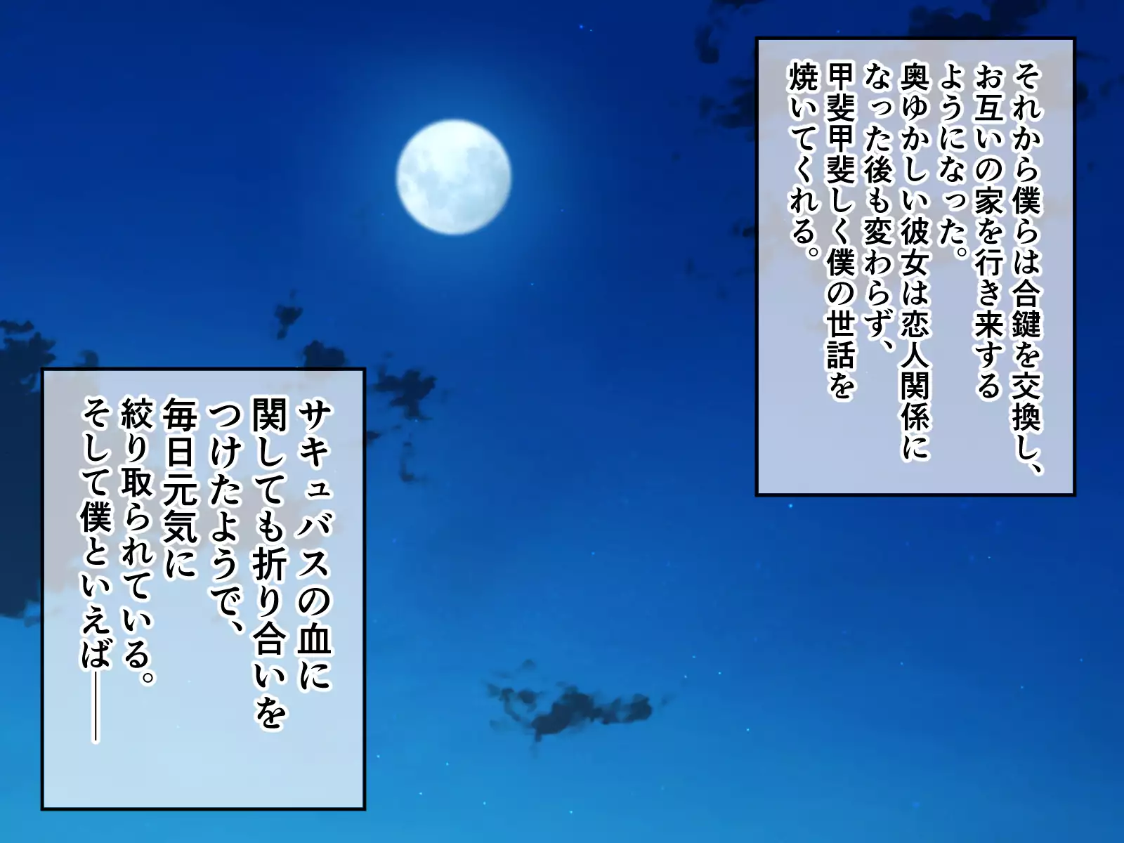 Hatsujou Okami wa Inma no Chisuji ~Miboujin no Kongan Nakadashi Sex~