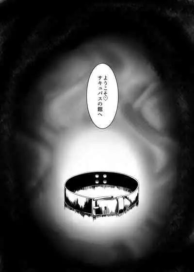 Welcome to Succubus' House