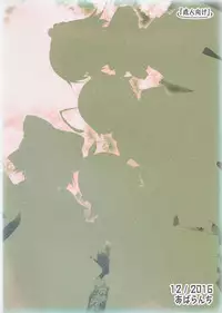 (C91) [Avalanche (ChimaQ)] Baquartet to Otona no Omamagoto! | 和笨蛋四人组玩成人的过家家游戏! (Touhou Project) [Chinese] [Kanade汉化组]