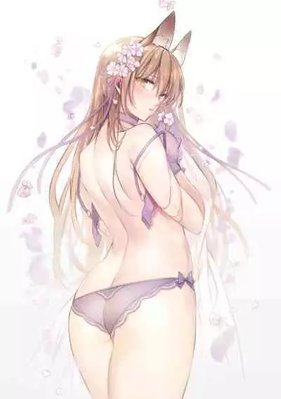 The Best of YUKIBUSTER Z