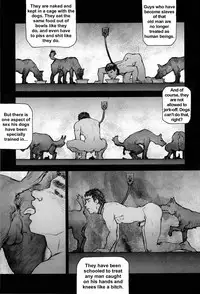 Training Dog Ch. 1-7