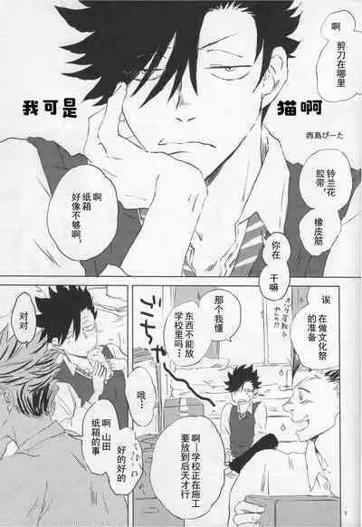 「Hyaena、Sunday」Maybe You Are The Cat In The Paper Bag | 你大概是纸袋里的猫