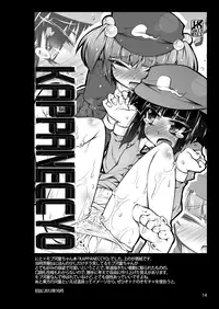 [Narumiya (Narumiya)] PeTaPa; (Touhou Project) [Digital]