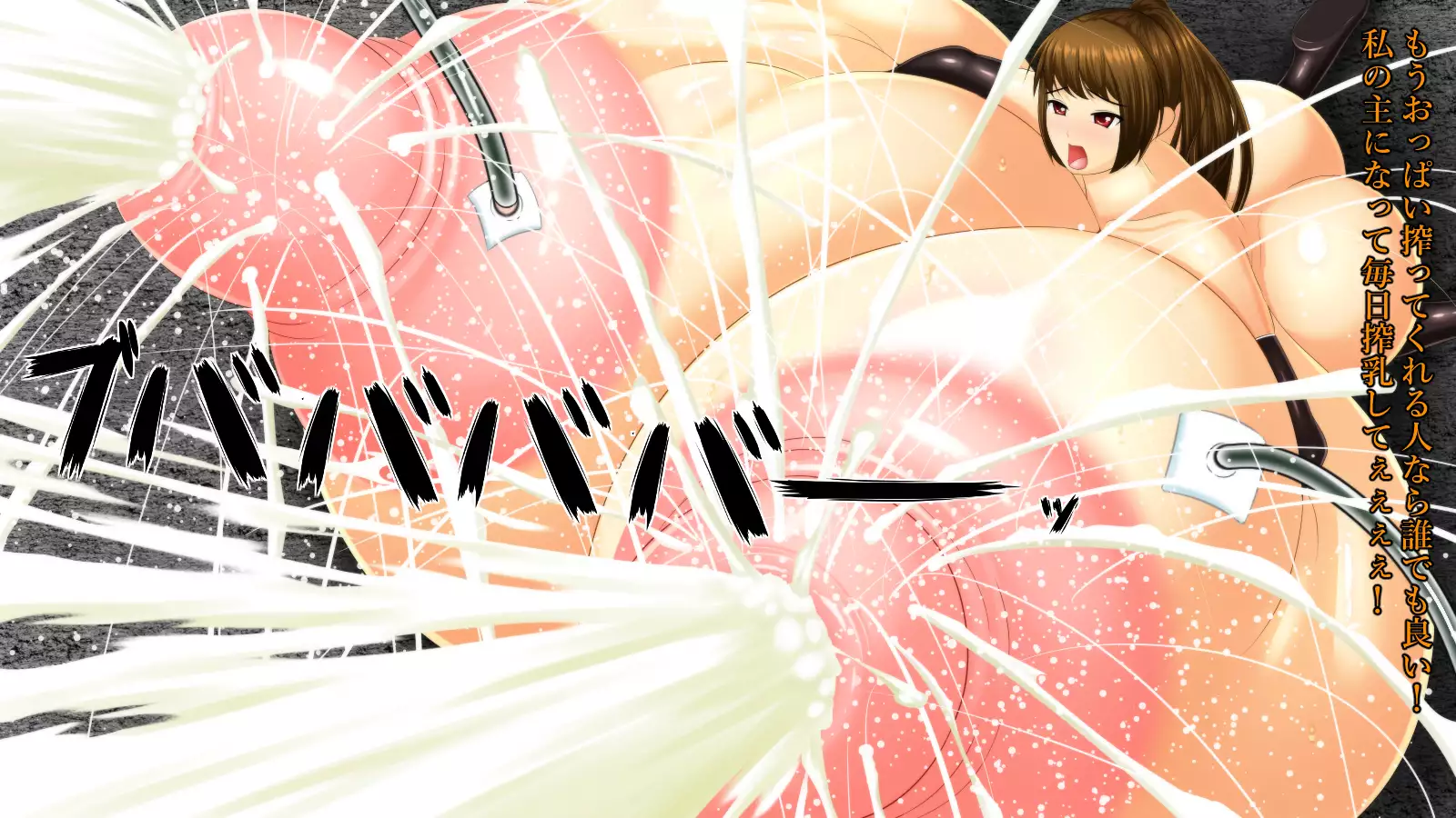 Kunoichi Kaizou Sennou Monogatari -Chounyuu Kyojiri wa Nushi-sama no Tame ni-