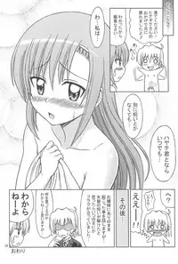 (C76) [Brain Dead (Eiji)] Hina to Izumi no Shakunetsu Stroganoff (Hayate no Gotoku!)