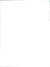 (C45) [Team Plus-Y (Various)] PLUS-Y Vol. 13 (Various)