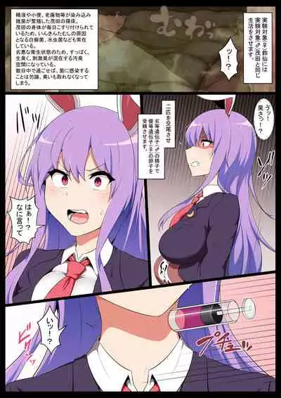 Yuutou Idenshi to Rettou Idenshi ni Yoru Shussan Sareta Kodomo no Nouryokuchi Sokutei Jikken Oyobi, Mesu no Nikutai-teki Henka no Kiroku