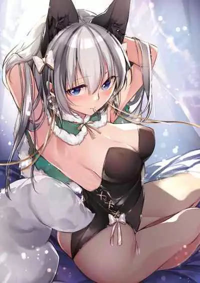 The Best of YUKIBUSTER Z