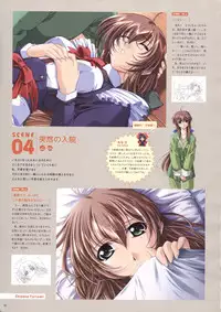 Natural 2 Duo Visual Fan Book