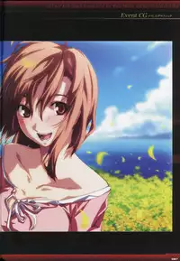 Dies irae Visual Fanbook - Black Book