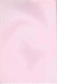 [prymary (Takase Hiroe)] Lamperouge Kyoudai no Yuuutsu na Oshigoto (Code Geass: Lelouch of the Rebellion)