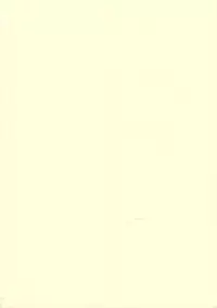 (C62) [Houkago Paradise (Sasorigatame)] Tin Tin Town! (Digimon Frontier)