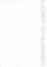 (SPARK9) [MIRAGE CAT (Suika Soda)] LOST CHILDREN (Gintama)