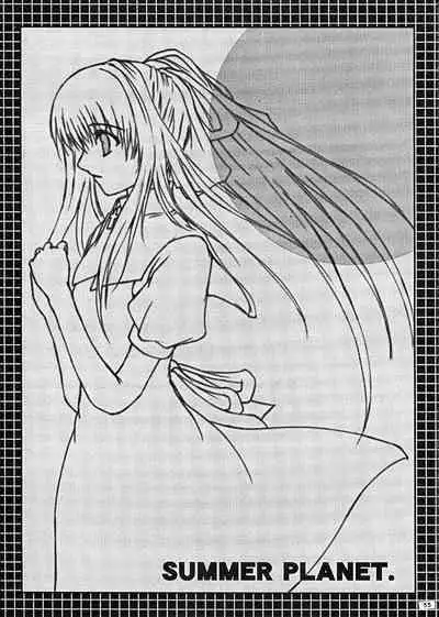 SUMMER PLANET