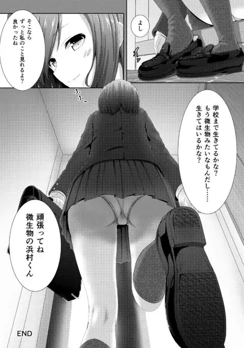 Soutaisei Kyodai Shoujo