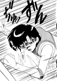 [T2 UNIT, RyuukiSya, Sakura ROC (Various)] LUNATIC ASYLUM (Sailor Moon)